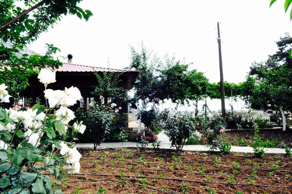 Manzara Hotel Ölüdeniz Dış mekan fotoğraf